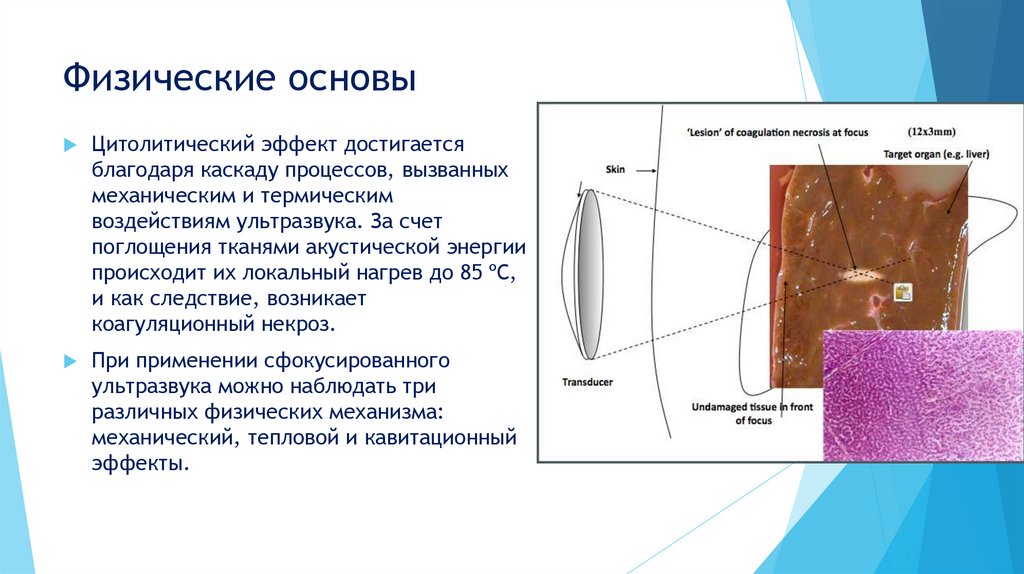 Физические основы