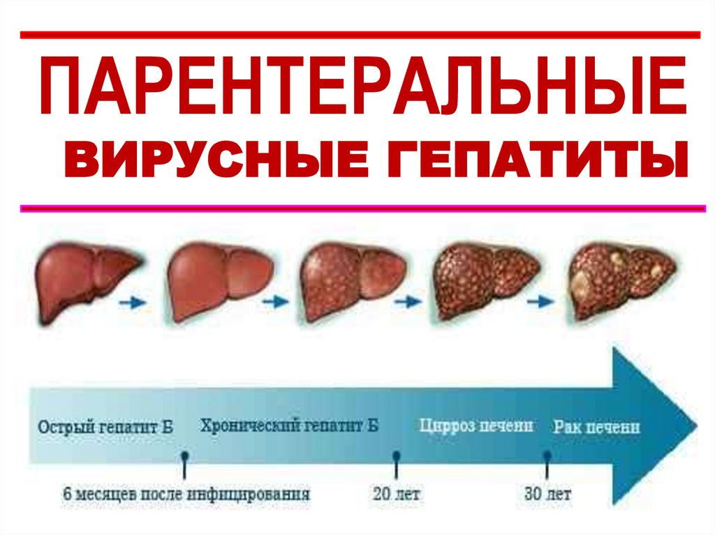 Профилактика ВГЕ