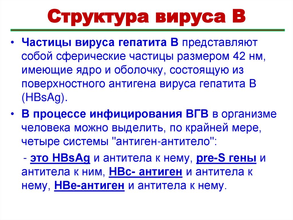 Характеристика вируса В