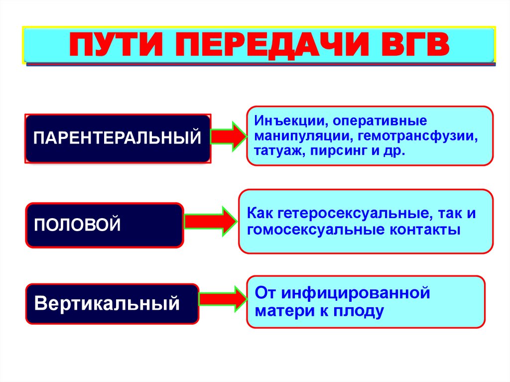 ВГВ. Эпидемиология