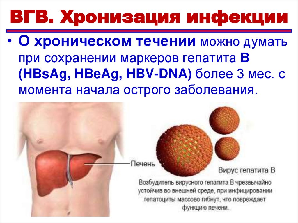 Нумулярная экзема при ВГВ