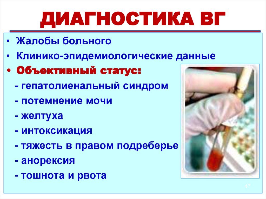 Установление диагноза "вирусный гепатит"