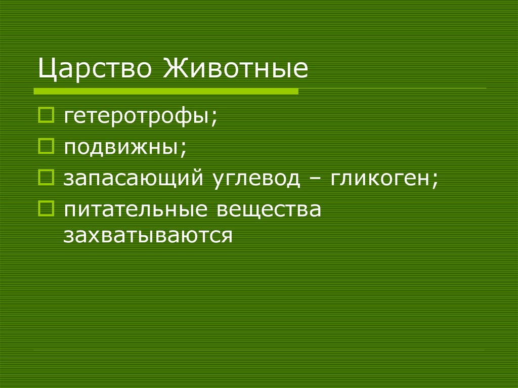 Царство Животные