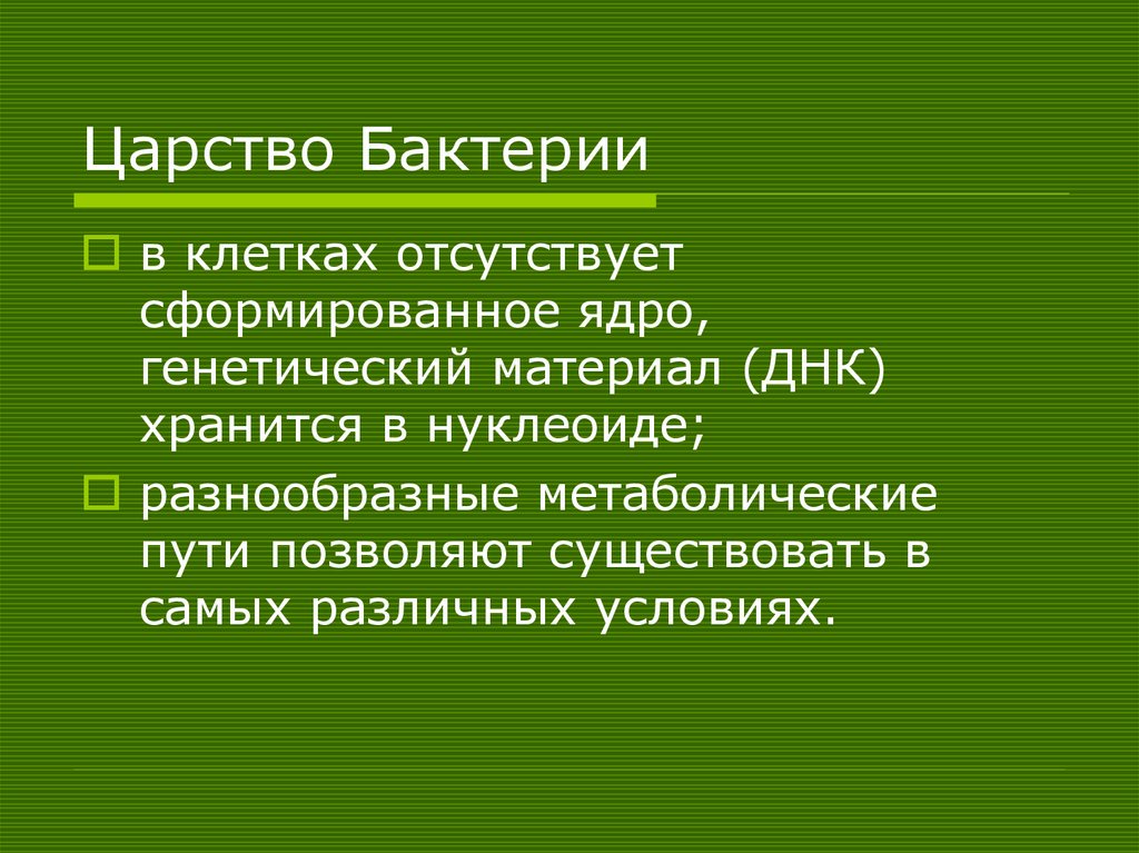 Царство Бактерии