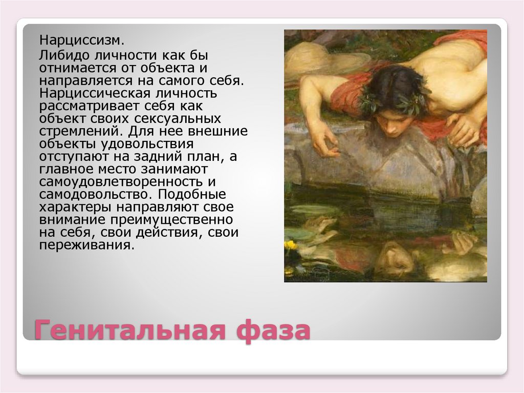 Генитальная фаза