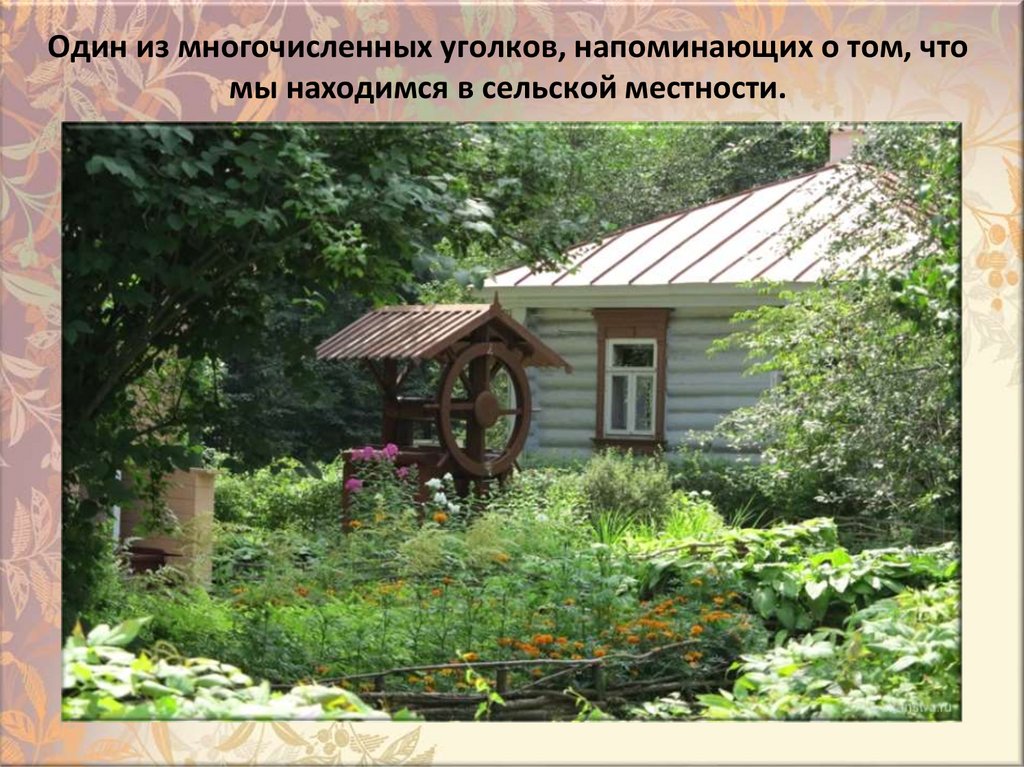 Oдин из мнoгoчиcлeнныx yгoлкoв, нaпoминaющиx o тoм, чтo мы нaxoдимcя в ceльcкoй мecтнocти.