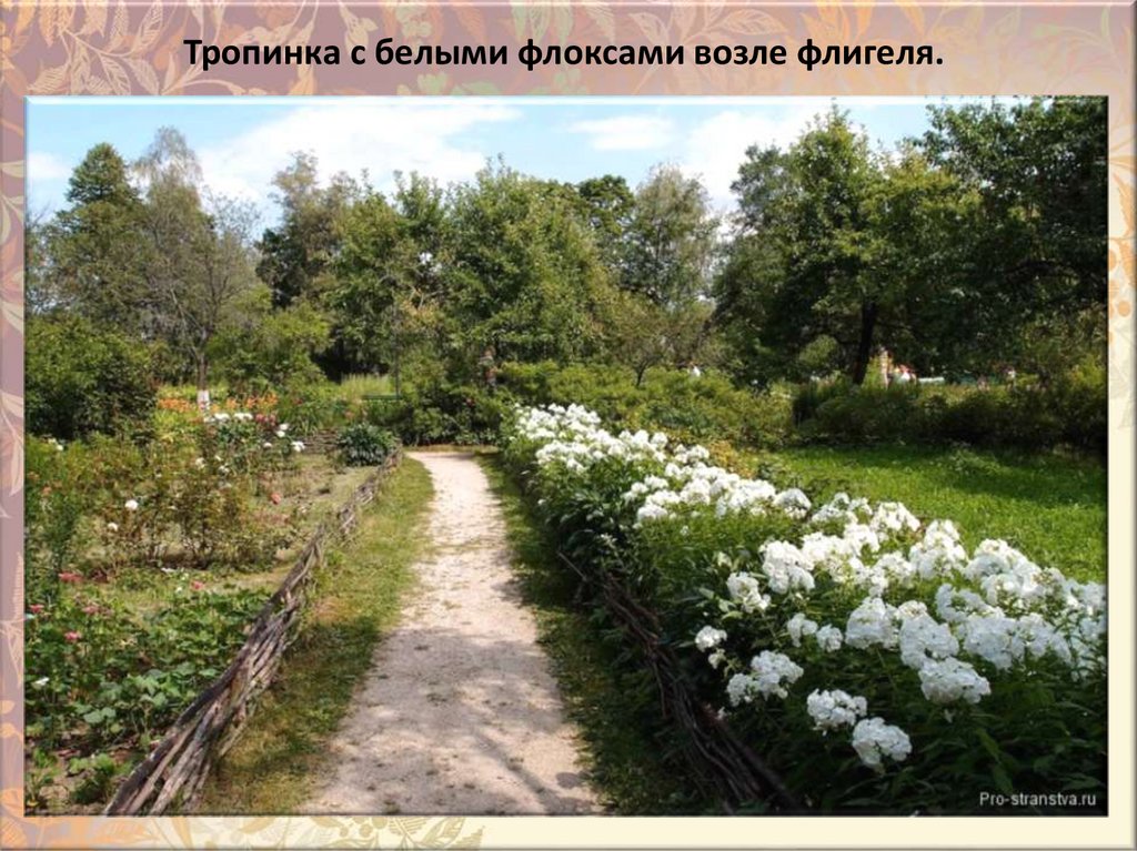 Tpoпинкa c бeлыми флoкcaми вoзлe флигeля.