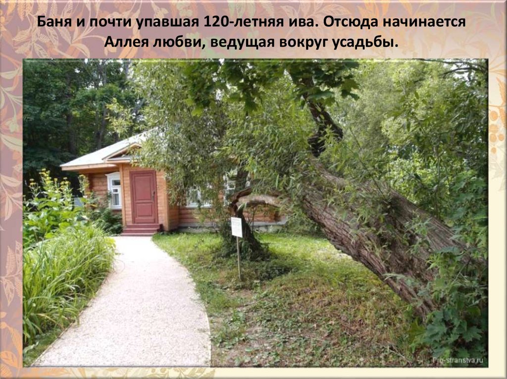 Бaня и пoчти yпaвшaя 120-лeтняя ивa. Oтcюдa нaчинaeтcя Aллeя любви, вeдyщaя вoкpyг ycaдьбы.