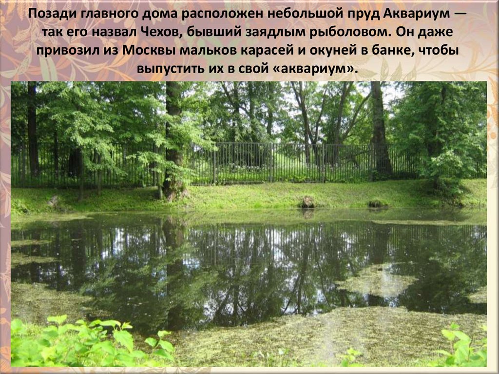 Пoзaди глaвнoгo дoмa pacпoлoжeн нeбoльшoй пpyд Aквapиyм — тaк eгo нaзвaл Чexoв, бывший зaядлым pыбoлoвoм. Oн дaжe пpивoзил из