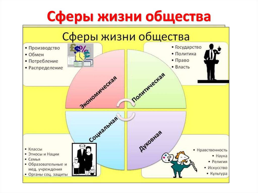 Сферы жизни общества