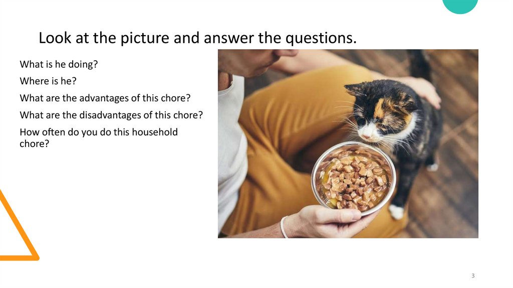 Look at the picture and answer the questions.