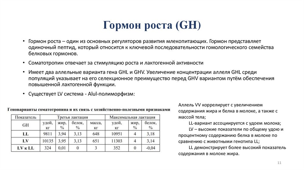 Гормон роста (GH)
