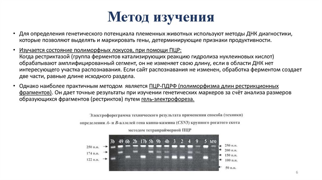 Метод изучения