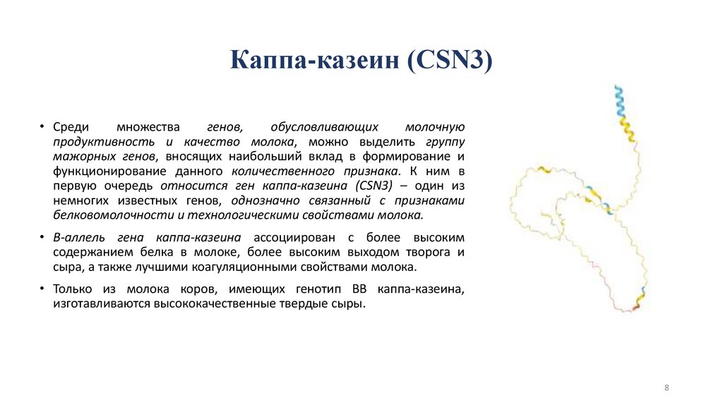 Каппа-казеин (CSN3)