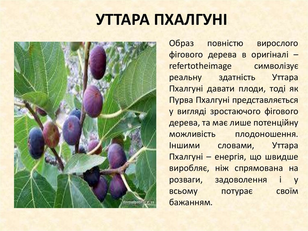 УТТАРА ПХАЛГУНІ