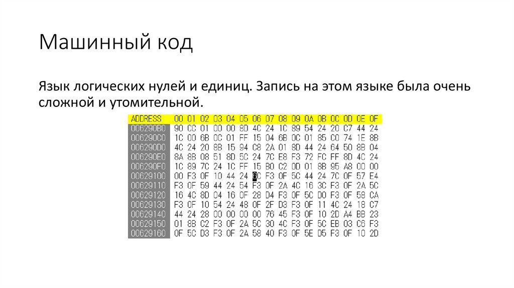 Машинный код