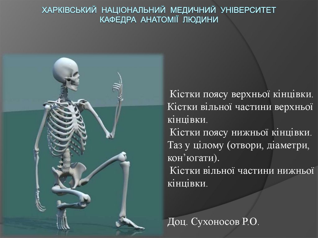 Харківський національний медичний університет кафедра анатомії людини