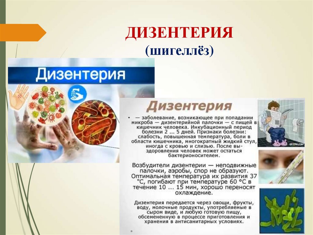 ДИЗЕНТЕРИЯ (шигеллёз)