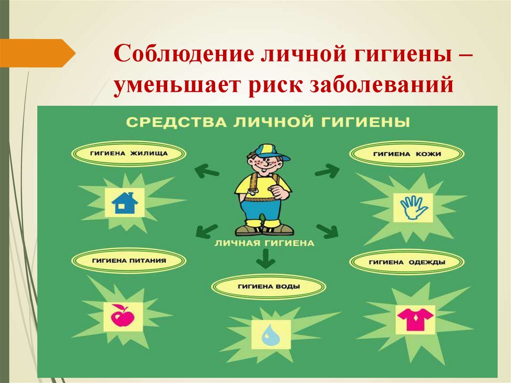 Соблюдение личной гигиены – уменьшает риск заболеваний