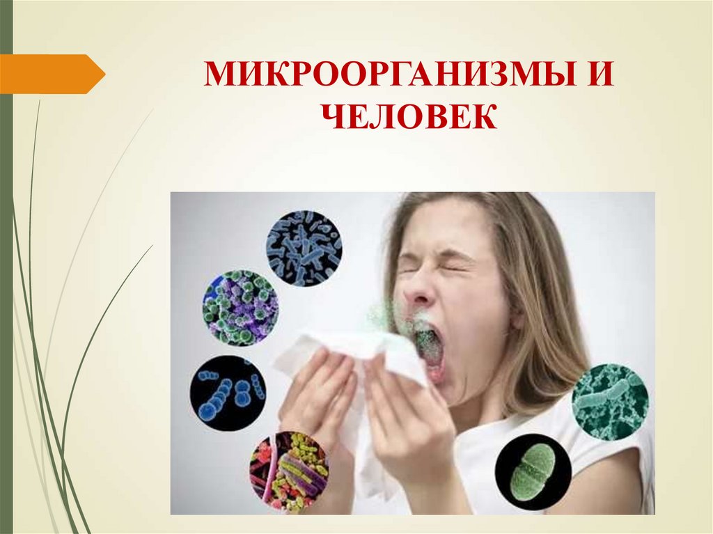МИКРООРГАНИЗМЫ И ЧЕЛОВЕК