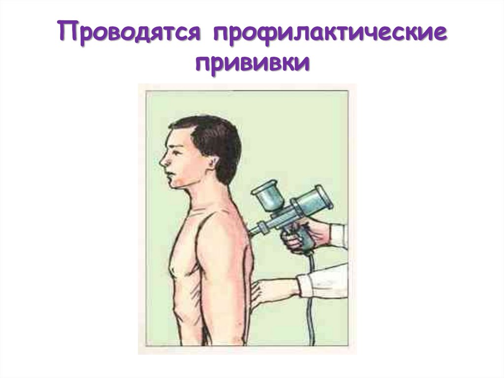 Проводятся профилактические прививки