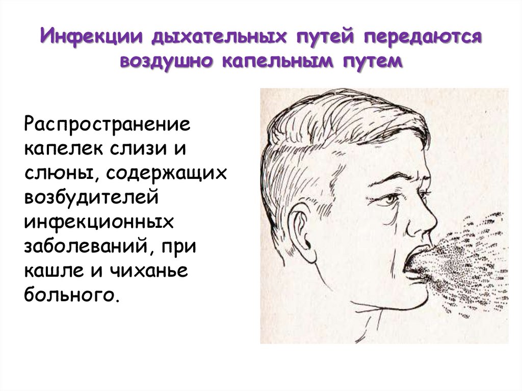 Инфекции дыхательных путей передаются воздушно капельным путем