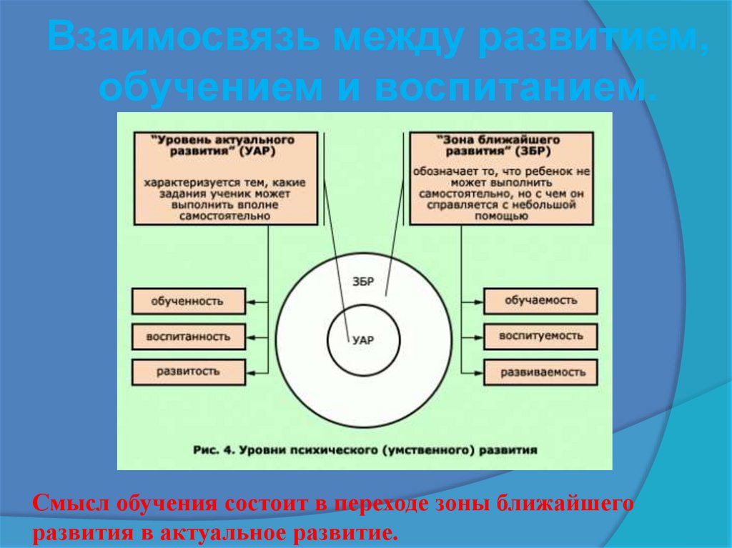 Взаимосвязь между развитием, обучением и воспитанием.