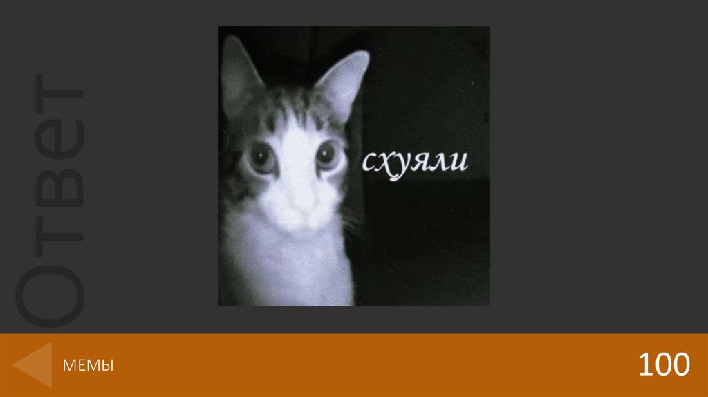 МЕМЫ