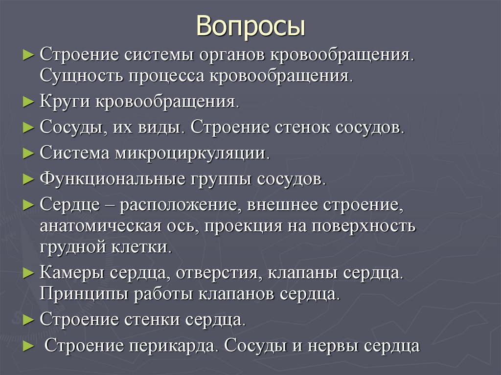 Вопросы