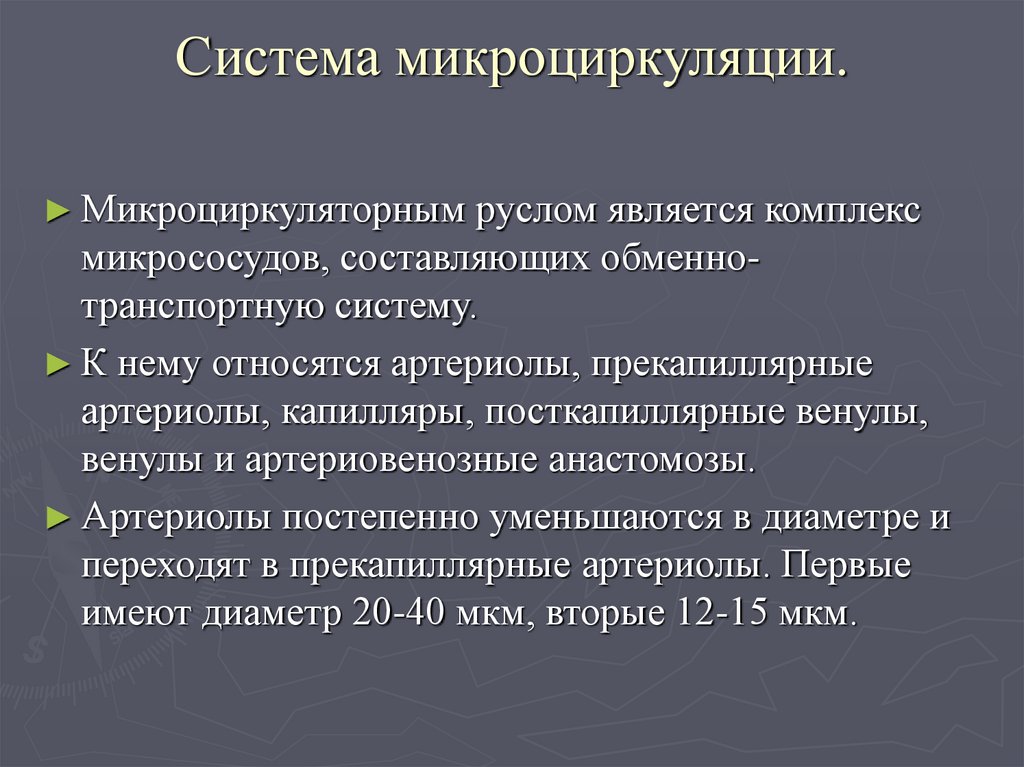 Система микроциркуляции.