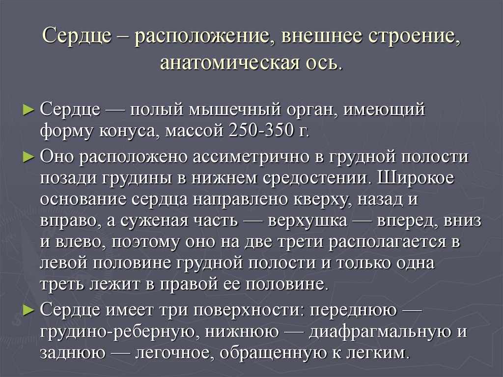 Сердце – расположение, внешнее строение, анатомическая ось.