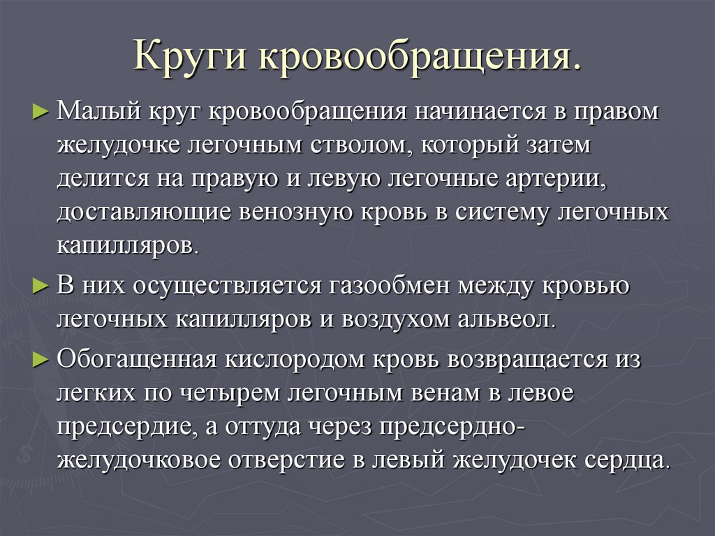Круги кровообращения.