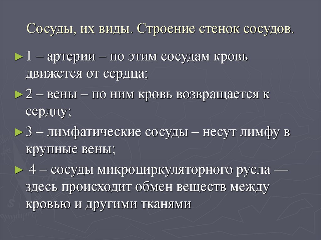 Сосуды, их виды. Строение стенок сосудов.