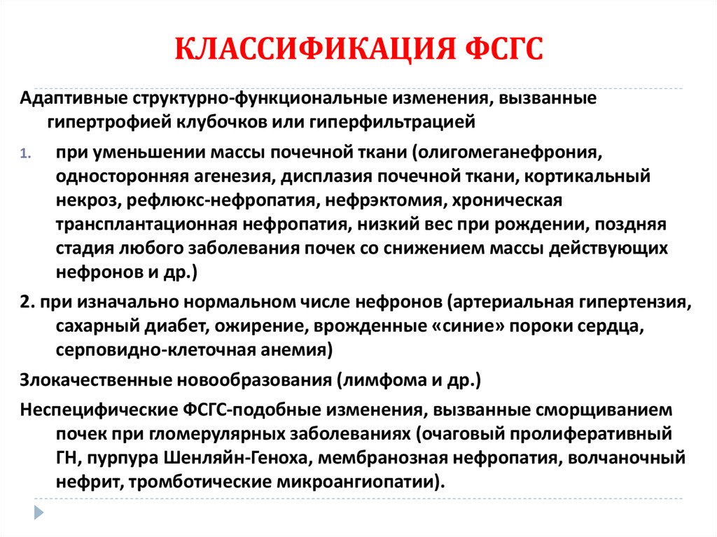 КЛАССИФИКАЦИЯ ФСГС