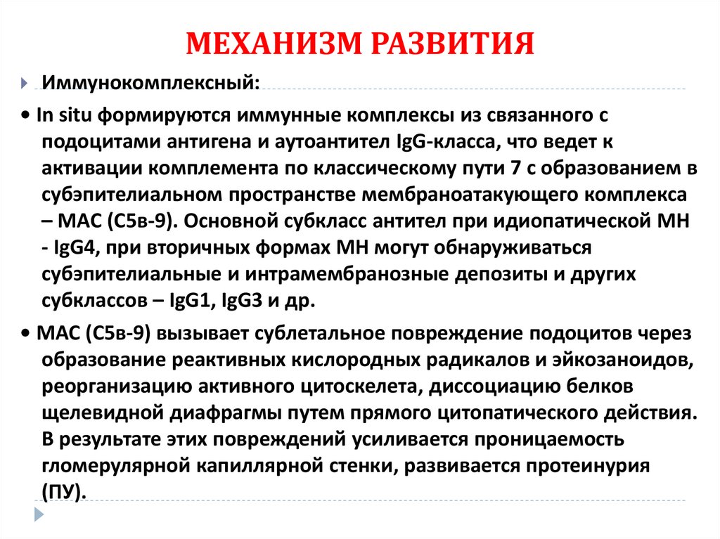 МЕХАНИЗМ РАЗВИТИЯ