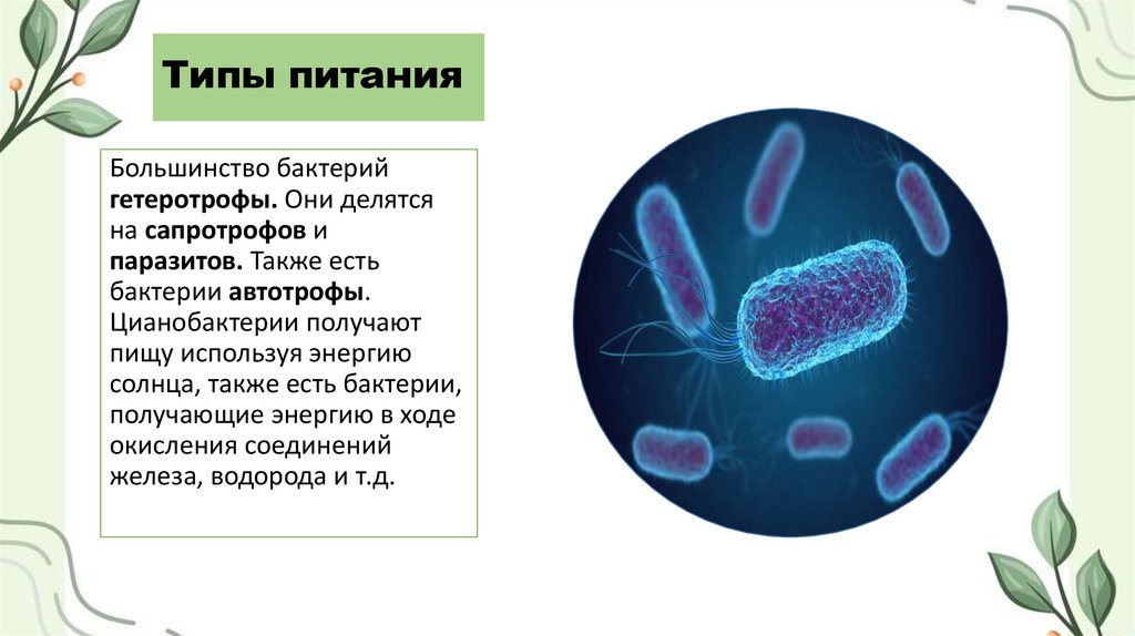 Типы питания