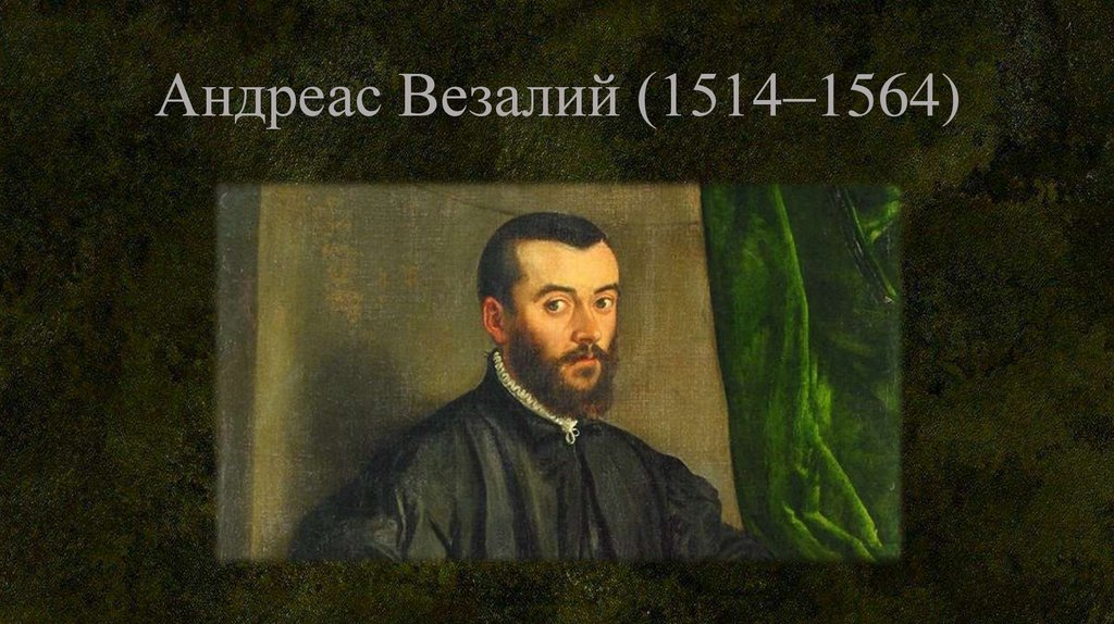 Андреас Везалий (1514–1564)