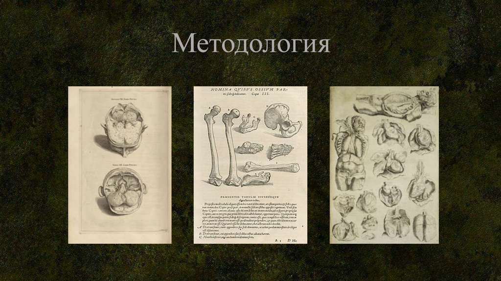 Методология