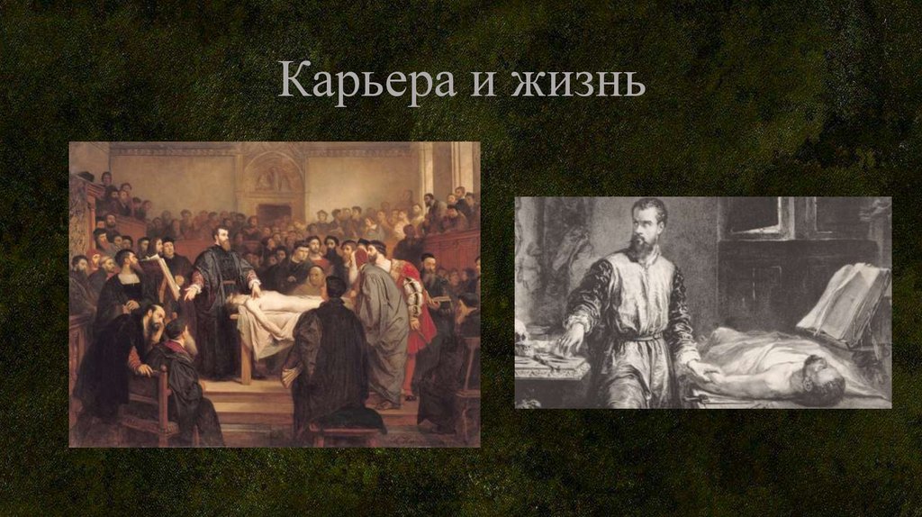 Карьера и жизнь