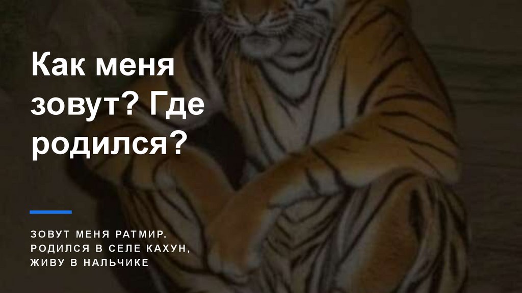 Как меня зовут? Где родился?