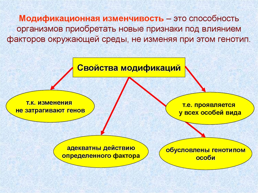 Модификационная изменчивость – это способность организмов приобретать новые признаки под влиянием факторов окружающей среды, не