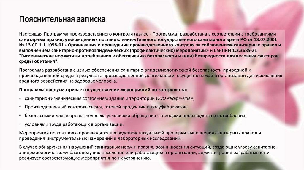 Пояснительная записка