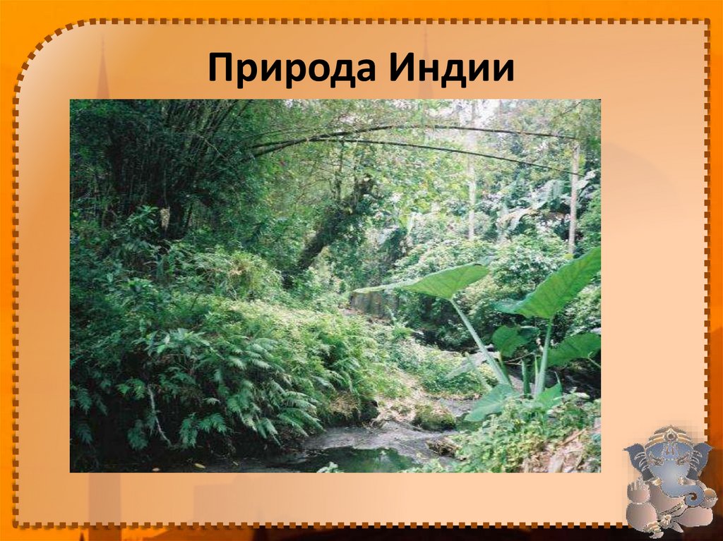 Природа Индии