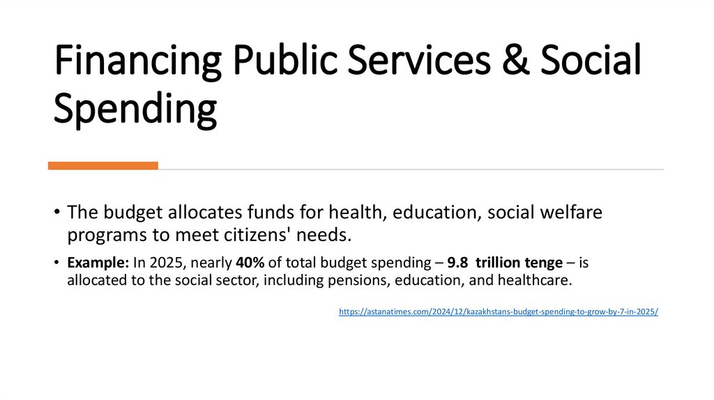 Financing Public Services & Social Spending