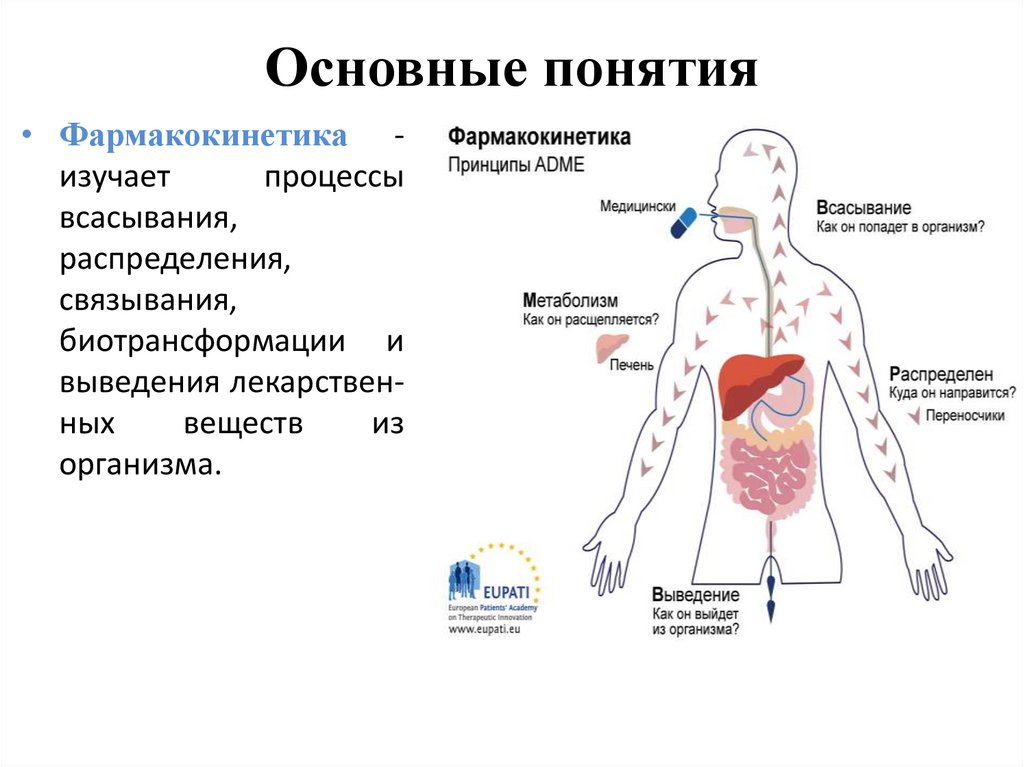Основные понятия