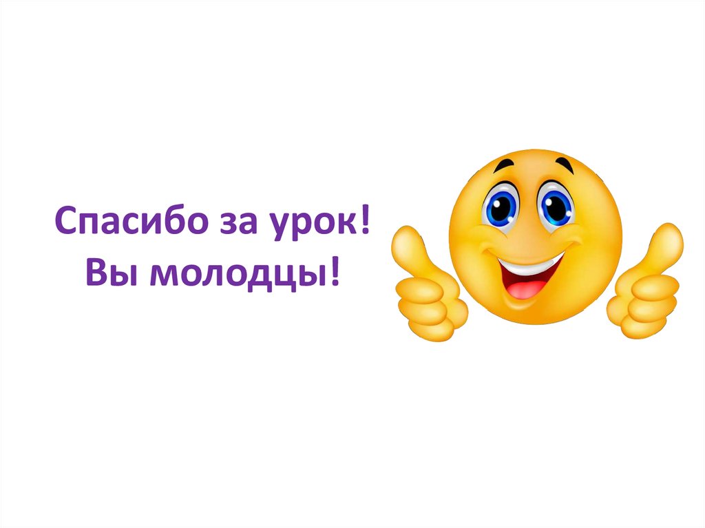 Спасибо за урок! Вы молодцы!