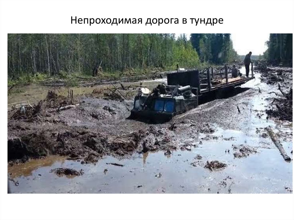 Непроходимая дорога в тундре