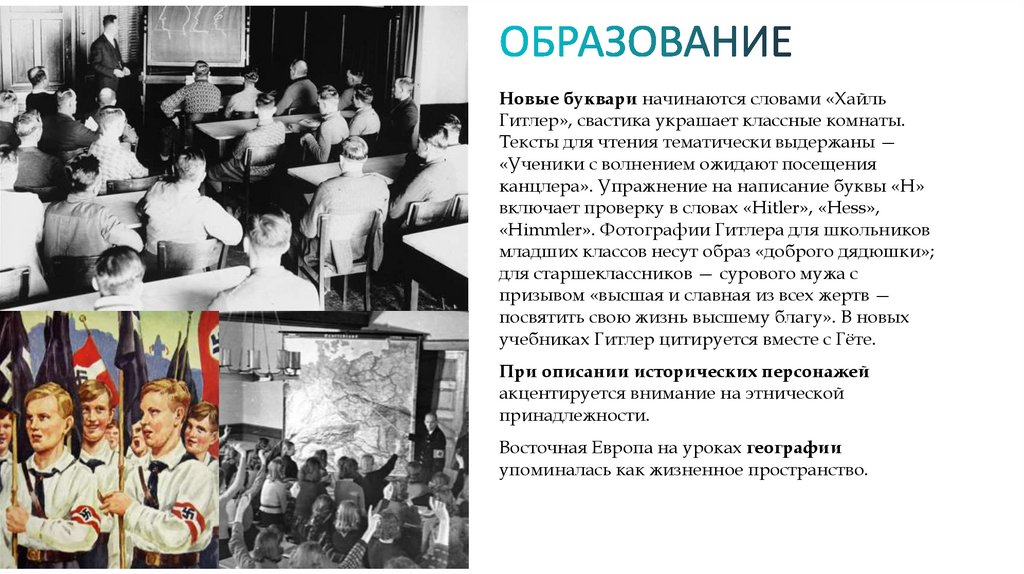 ОБРАЗОВАНИЕ 