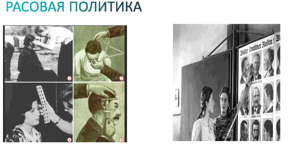 РАСОВАЯ ПОЛИТИКА