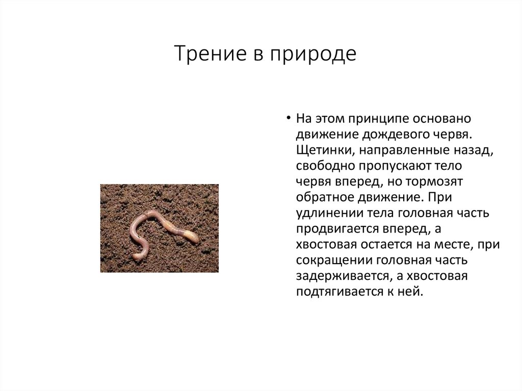 Трение в природе